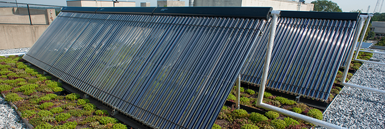 Solar panels with green roof
